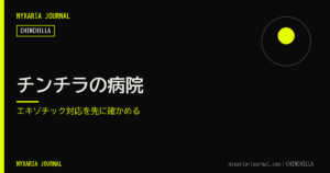 チンチラの病院｜エキゾチック対応を先に確かめる