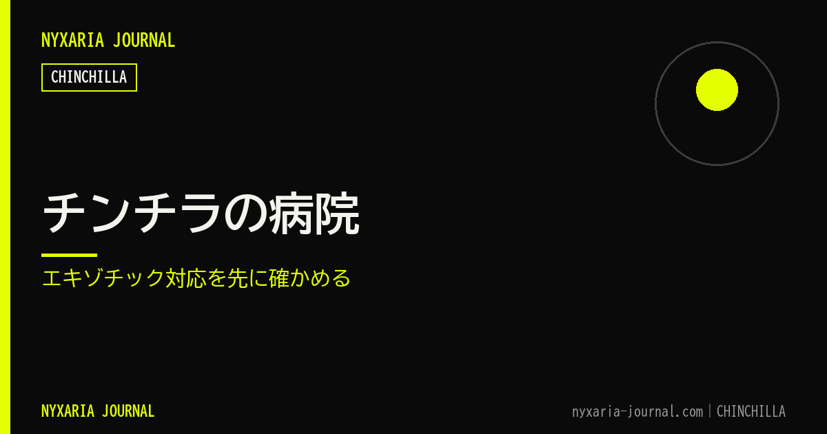 チンチラの病院｜エキゾチック対応を先に確かめる