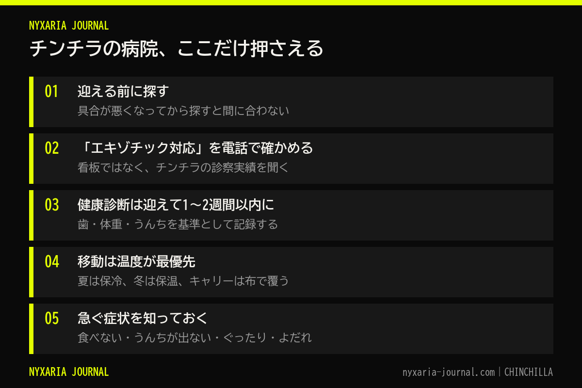 チンチラの病院の要点｜迎える前に探す、電話で実績を聞く、健康診断で基準を作る