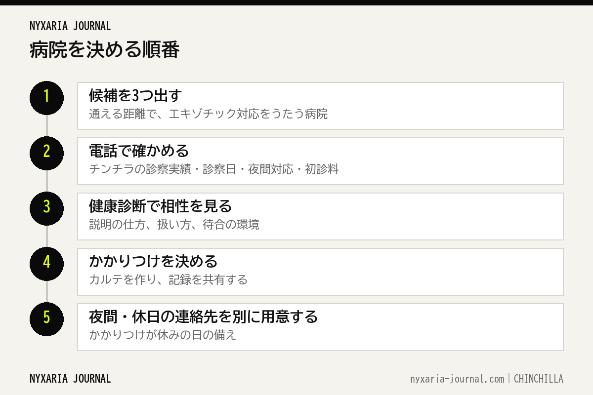 チンチラの病院を決める5つの手順のフロー図
