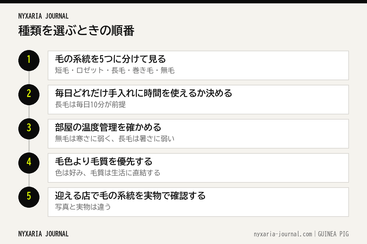 モルモットの種類を選ぶ5つの手順のフロー図