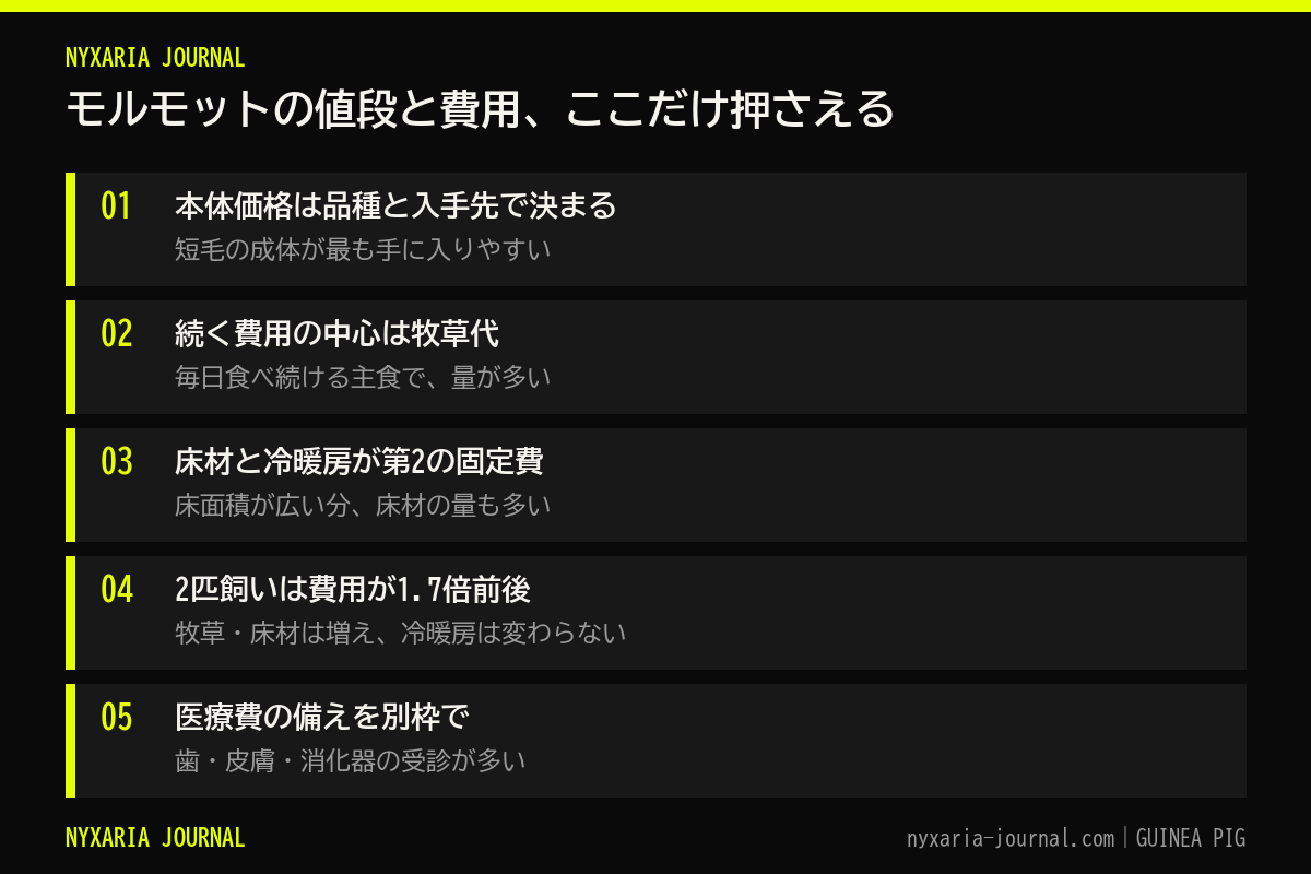 モルモットの値段と費用の要点｜本体は品種と入手先、続く費用は牧草・床材・冷暖房