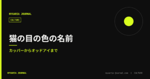 猫の目の色の名前｜カッパーからオッドアイまで