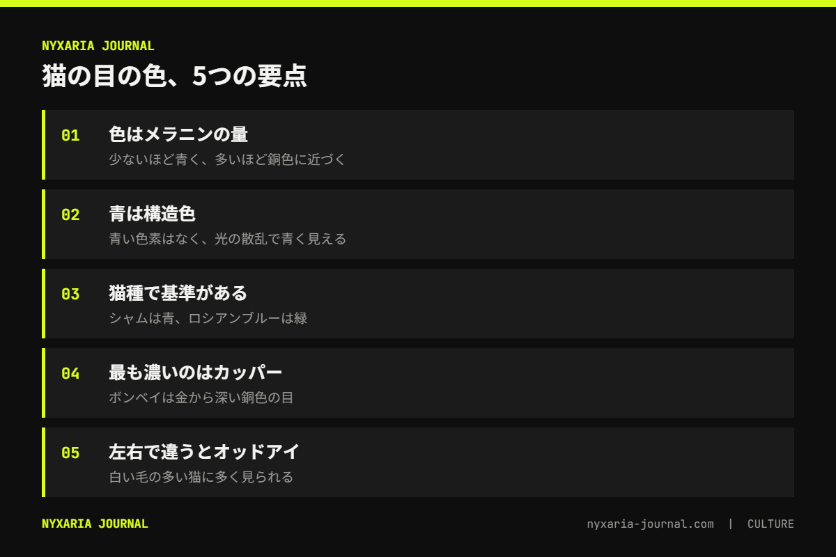 猫の目の色の種類の要点｜ブルーからカッパーまでメラニンの量で変わり、左右で違うとオッドアイ
