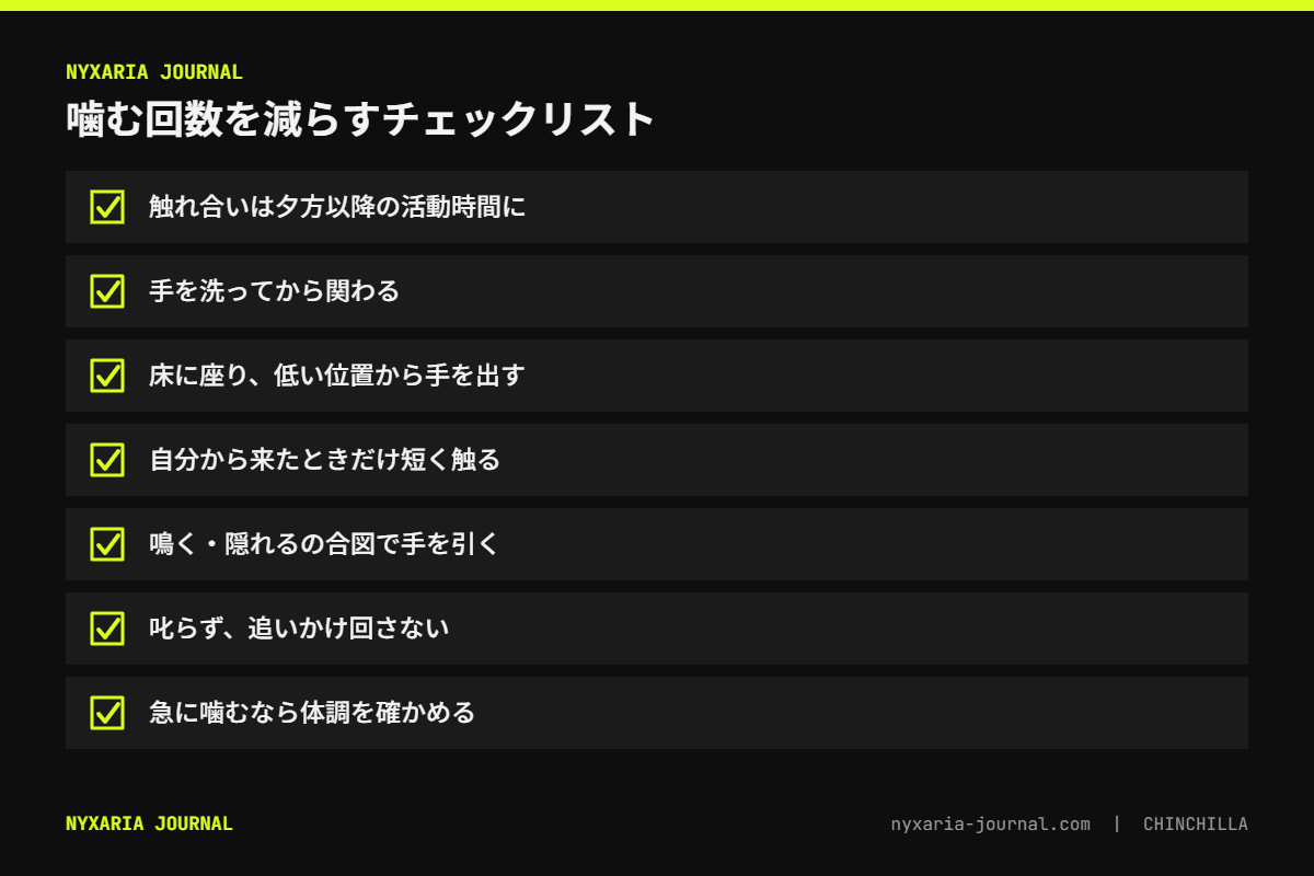 チンチラの噛み癖を減らすチェックリスト｜活動時間に関わる・低い位置から手を出す・合図で手を引く・叱らない