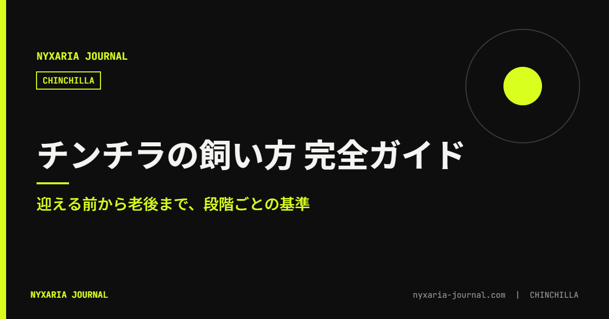 チンチラの飼い方 完全ガイド｜迎える前から老後まで