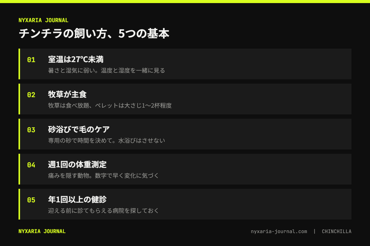 チンチラの飼い方の要点｜室温27℃未満、牧草が主食、砂浴び、週1回の体重測定、年1回以上の健診