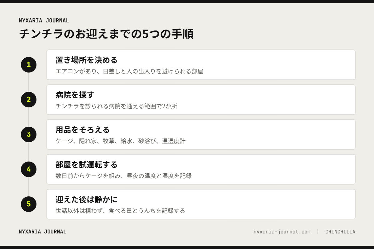 チンチラのお迎えまでの5つの手順｜置き場所、病院探し、用品、部屋の試運転、迎えた後は静かに