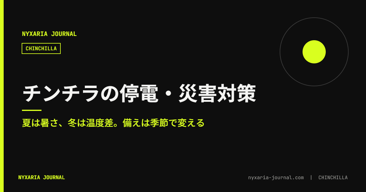 チンチラの停電・災害対策|夏と冬で備えが違う