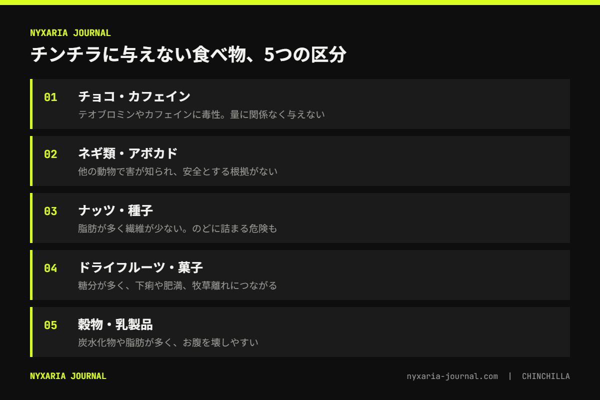 チンチラに食べてはいけないものの要点｜チョコ・カフェイン・ネギ類・アボカドは量に関係なく与えない