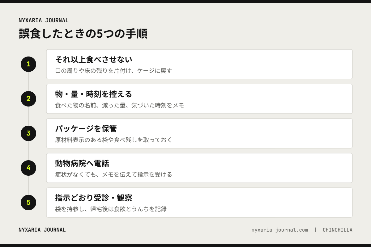チンチラが誤食したときの対応手順｜片付ける・量と時刻を控える・袋を保管・病院へ電話・指示どおり受診