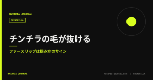 チンチラの毛が抜ける｜ファースリップは掴み方のサイン
