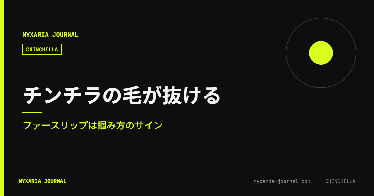 チンチラの毛が抜ける|ファースリップは掴み方のサイン