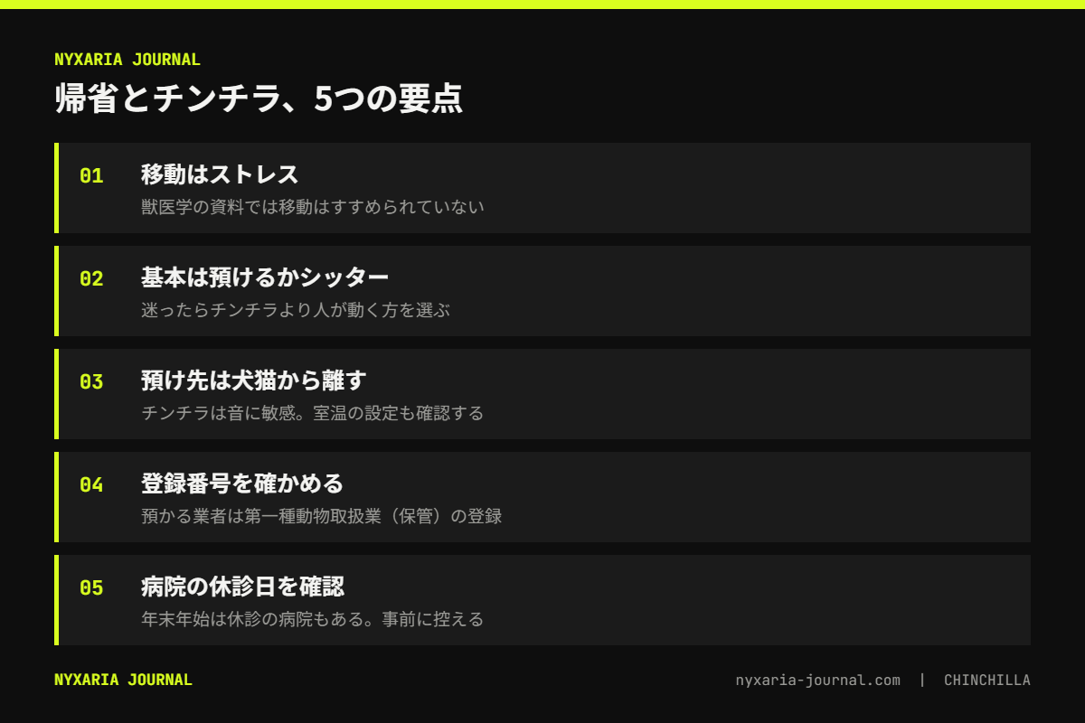年末年始の帰省とチンチラの要点｜移動はストレス、基本は詳しい預け先かシッター、病院の休診日を確認