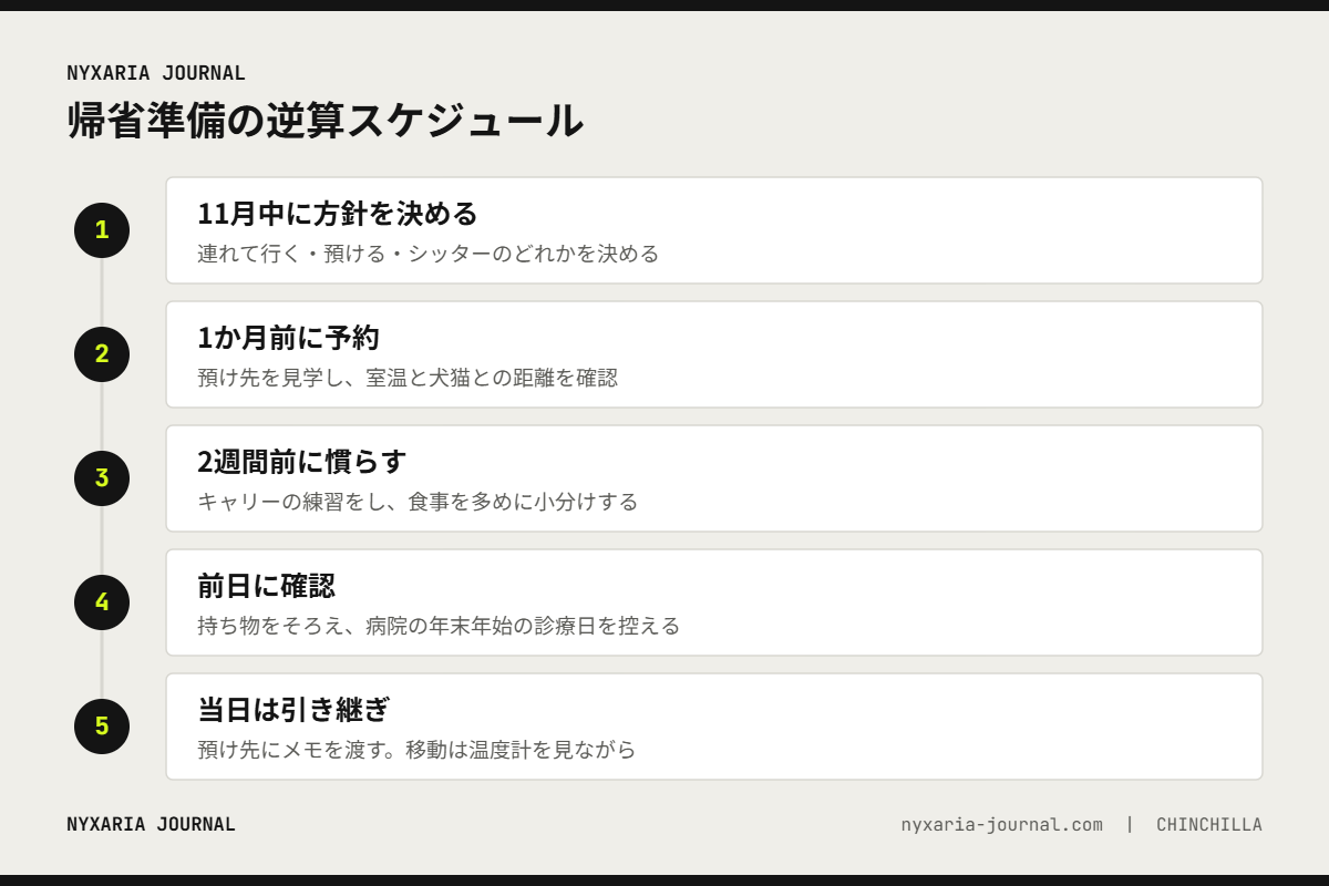 年末年始の帰省に向けたチンチラの準備5つの手順｜11月に方針、1か月前に予約、前日に病院の診療日確認