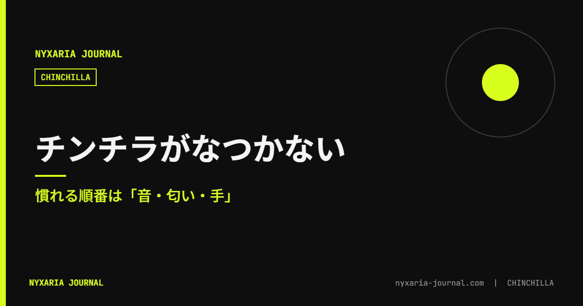チンチラがなつかない｜慣れる順番は「音・匂い・手」