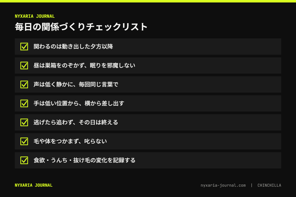 チンチラとの関係づくりチェックリスト｜夕方以降に関わる、低い位置から手を出す、追わない・つかまない・叱らない