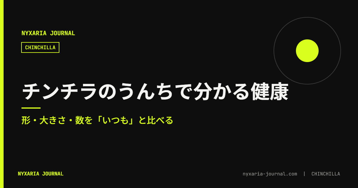 チンチラのうんちで分かる健康|形・大きさ・数を見る