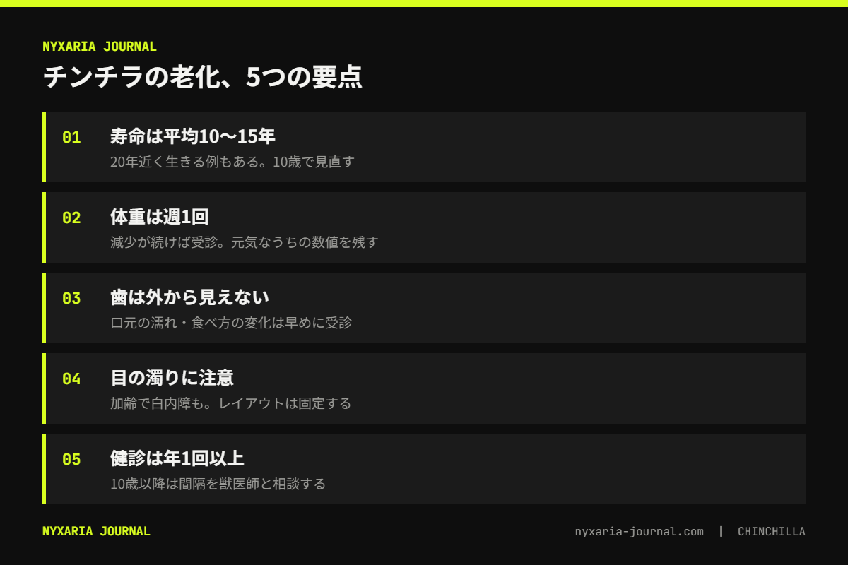 チンチラの老化の要点｜平均寿命は10〜15年、10歳から体重・歯・目・動きを見て暮らしを調整