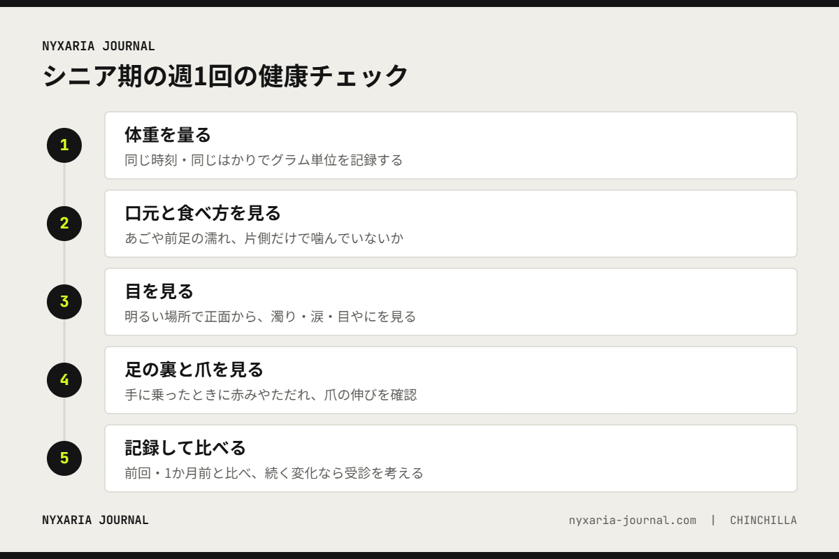 シニア期のチンチラの健康チェック5つの手順｜体重、口元と食べ方、目、足の裏と爪、記録して比べる