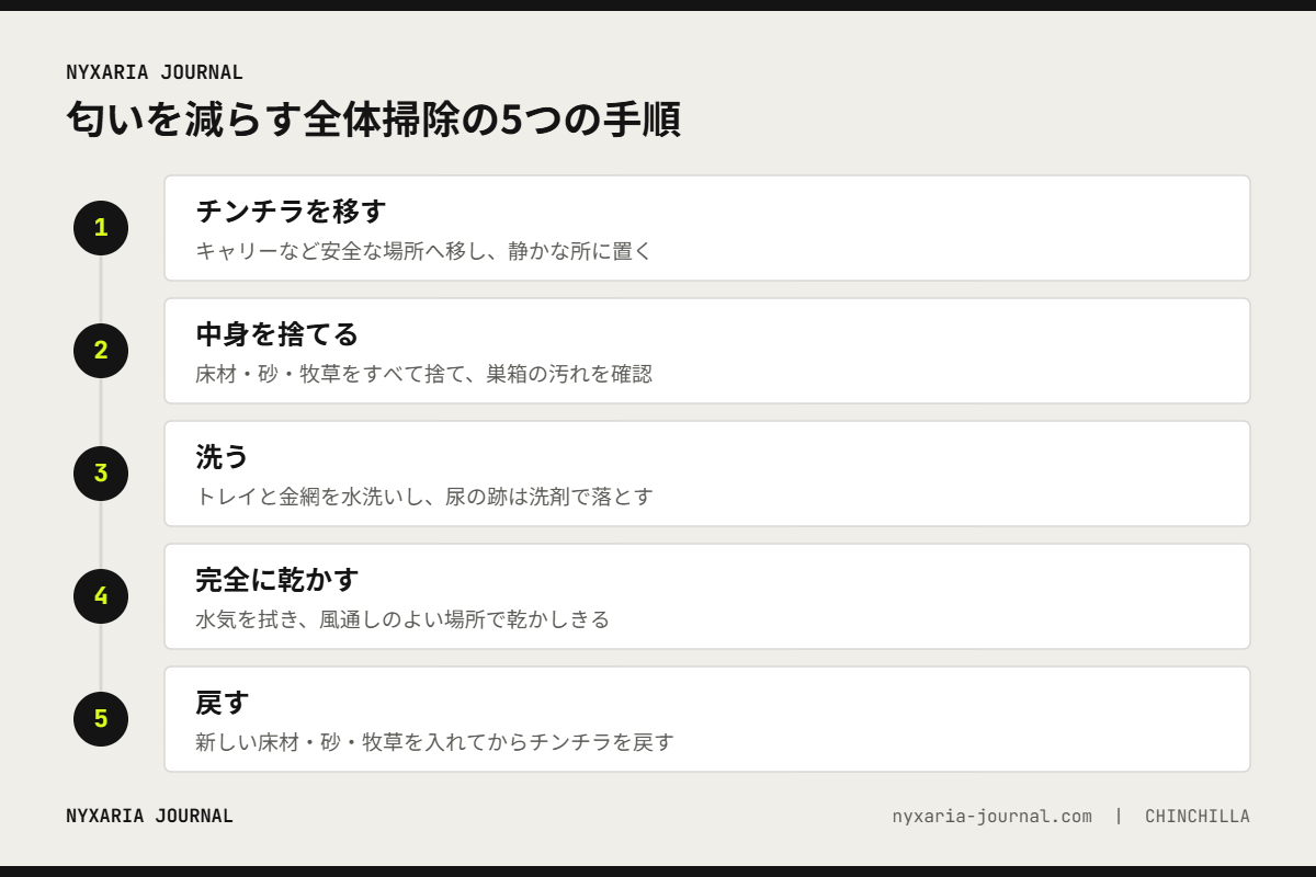 チンチラのケージの匂いを減らす5つの手順｜移す、捨てる、洗う、完全に乾かす、戻す