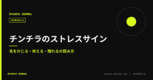 チンチラのストレスサイン｜毛をかじる・吠える・隠れる