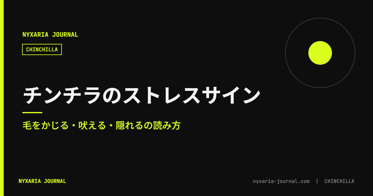 チンチラのストレスサイン|毛をかじる・吠える・隠れる