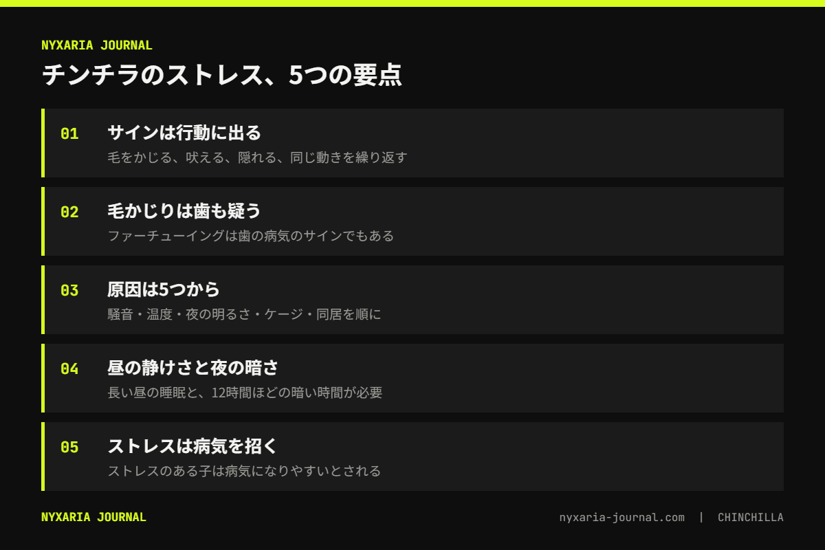 チンチラのストレスサインの要点｜毛をかじる・吠える・隠れる・同じ動きを繰り返す、先に体の不調を除外