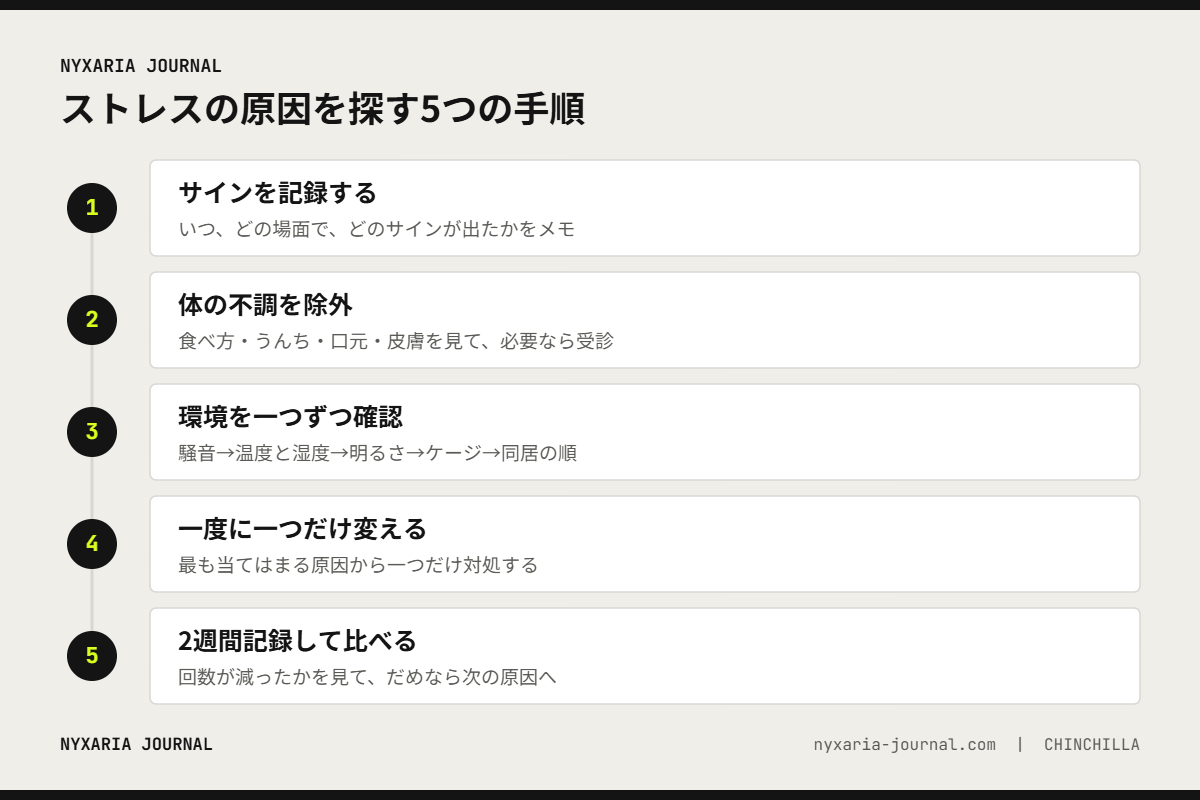 チンチラのストレスの原因を探す5つの手順｜記録、体の不調の除外、環境の確認、一つずつ変える、2週間の記録