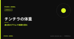 チンチラの体重｜週1回のグラムで体調を読む