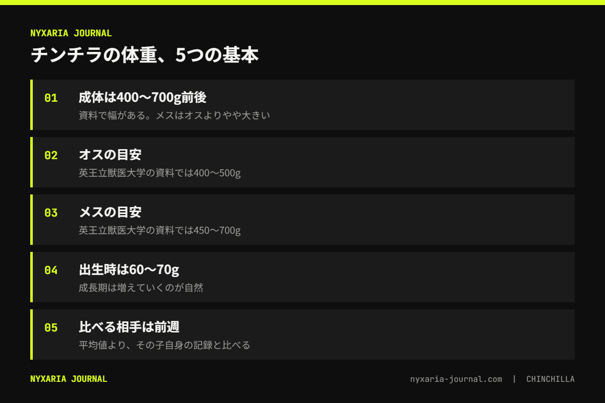 チンチラの体重の要点｜成体は400〜700g前後、週1回の計量で前週と比べる