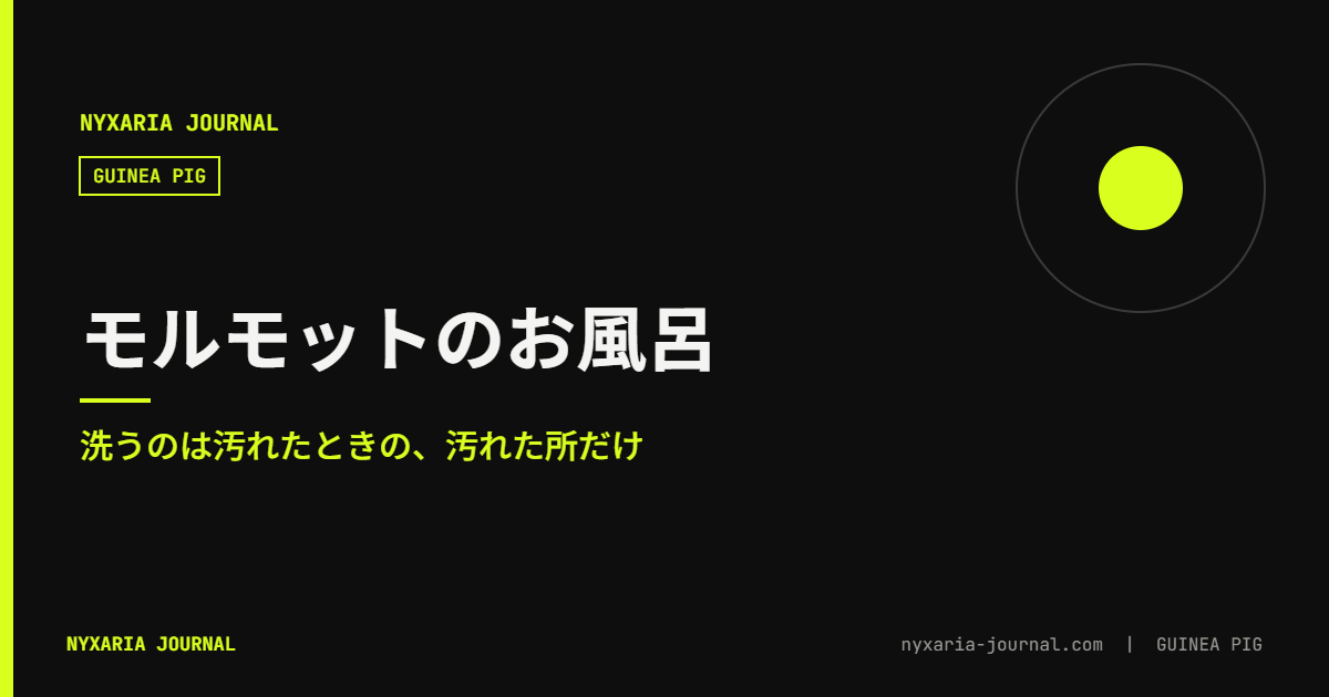 モルモットのお風呂｜洗うのは汚れたときだけ