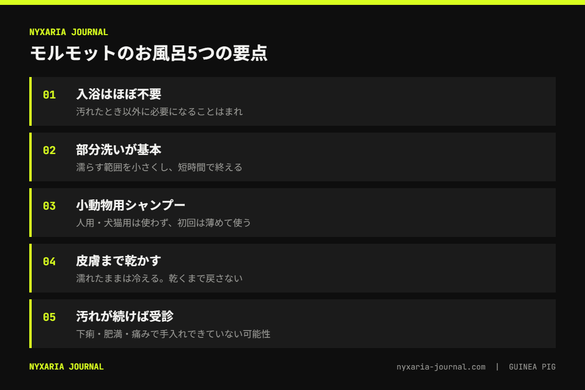 モルモットのお風呂の要点｜入浴は汚れたときだけ、部分洗いが基本、皮膚まで完全に乾かす