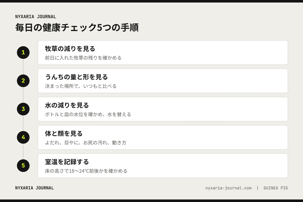 モルモットの毎日の健康チェック5つの手順｜牧草の減り、うんちの量と形、水、体と顔、室温を確かめる