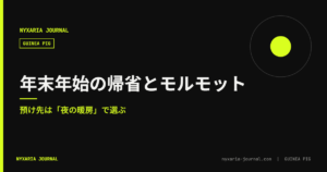 年末年始の帰省とモルモット｜預け先は暖房で選ぶ