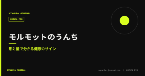 モルモットのうんち｜形と量で分かる健康