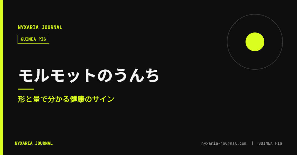 モルモットのうんち|形と量で分かる健康