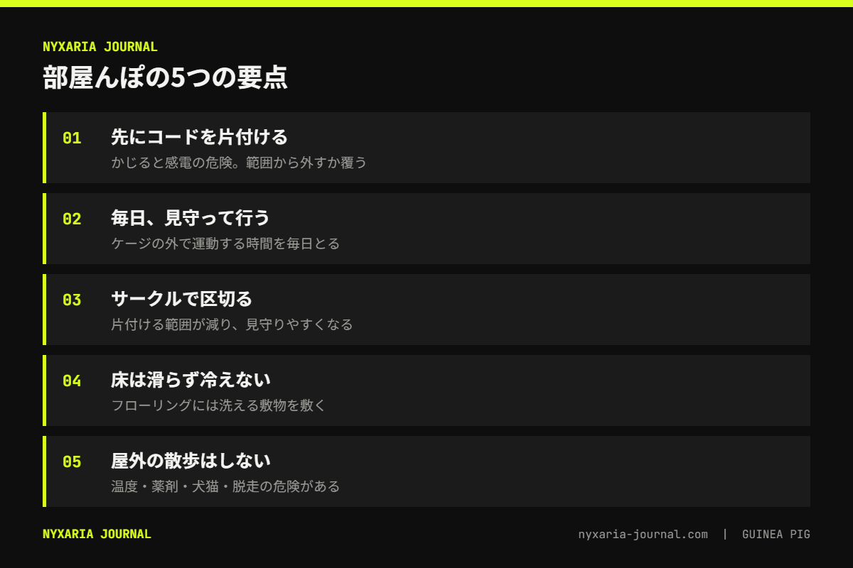 モルモットの部屋んぽの要点｜先に床のコードを片付ける、毎日見守る、サークルで範囲を区切る、屋外はすすめない