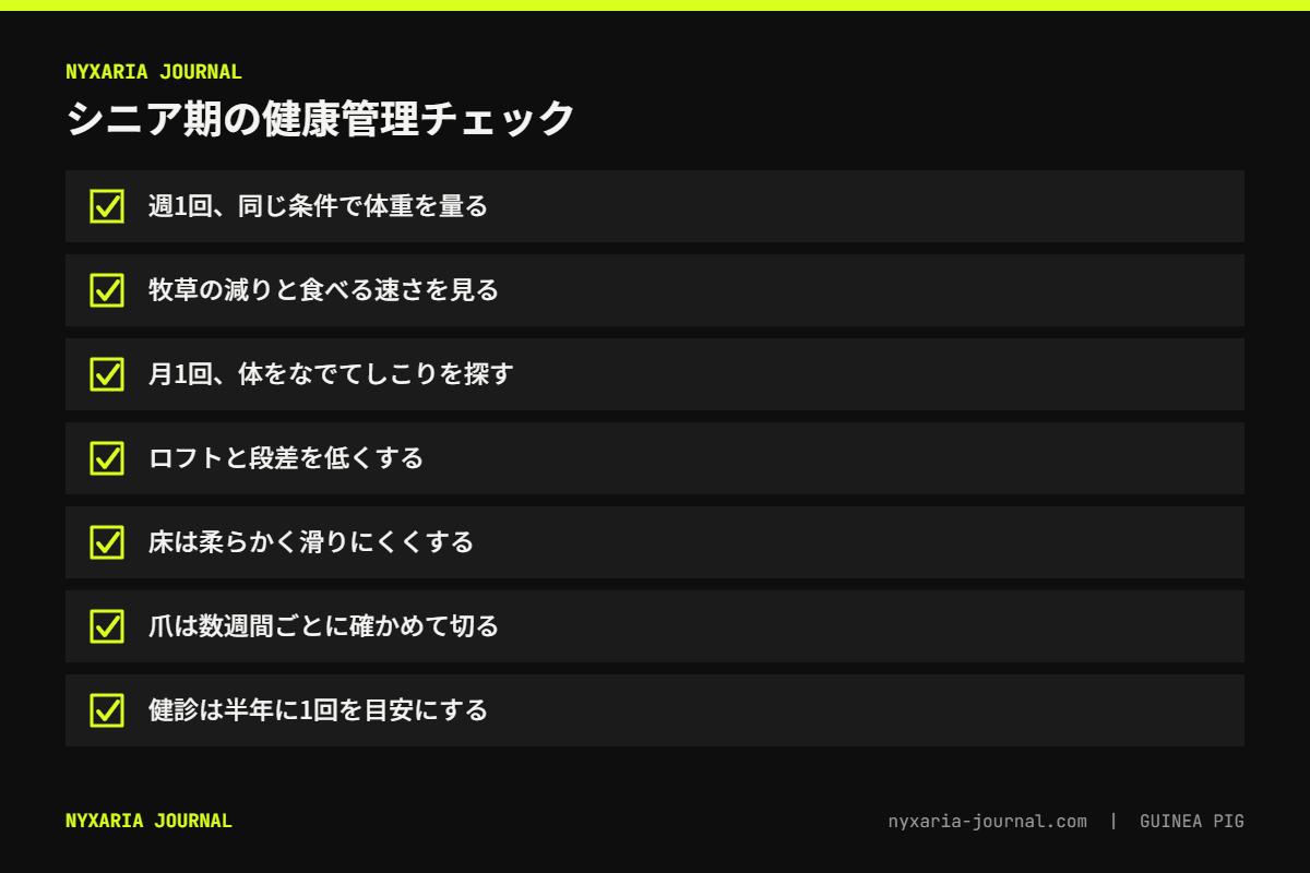 シニアのモルモットの健康管理チェックリスト｜週1回の体重・牧草の減り・しこりの確認・段差を低く・半年ごとの健診など7項目