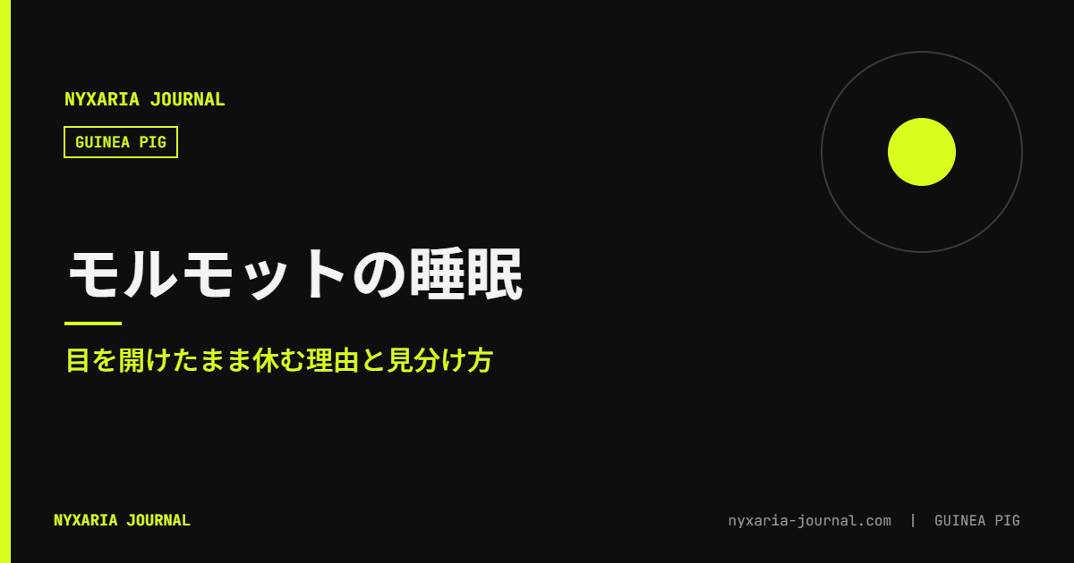モルモットの睡眠|目を開けて寝る理由