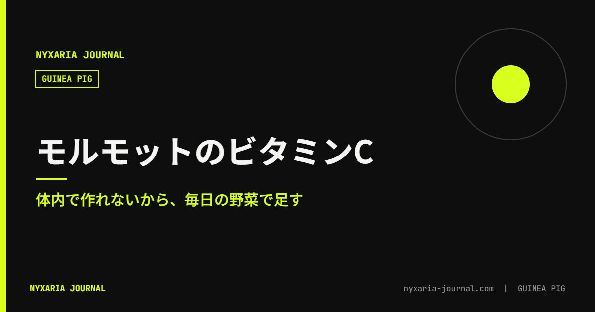 モルモットのビタミンC|体内で作れないから毎日足す